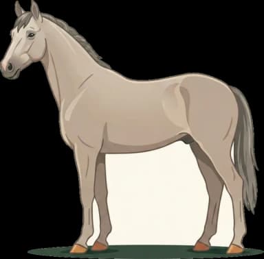 Pferdefutter für Lipizzaner