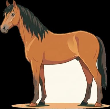 Pferdefutter Lusitano: Energieversorgung