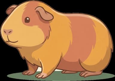 Meerschweinchenfutter: Vitamin C & Rohfaser täglich