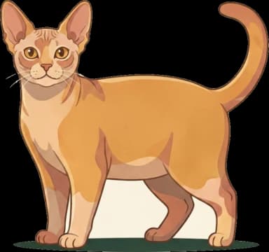 Katzenfutter für Minskin: Gelenkschutz