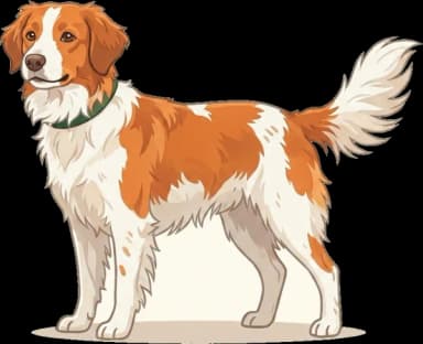 Hundefutter Kooikerhondje: Blutgerinnung