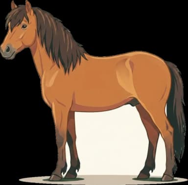 Pferdefutter Neufundland-Pony: EMS-Prävention