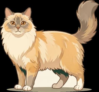 Katzenfutter für Neva Masquerade: PKD & Niere