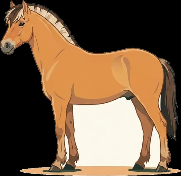 Illustration: Pferdefutter Fjordpferd: Gewichtsmanagement