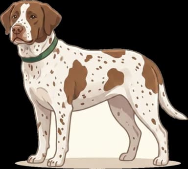 Hundefutter Altdänischer Vorstehhund
