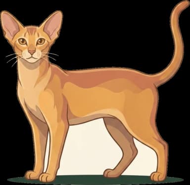 Katzenfutter Oriental: Hochaktiv-Protein