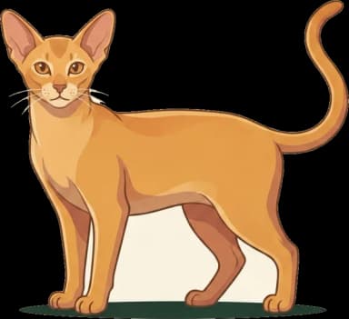 Katzenfutter Orientalisch Kurzhaar: Protein