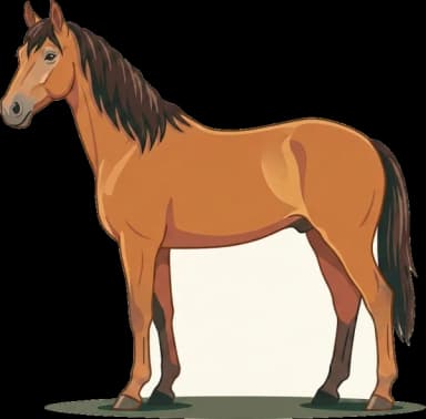 Pferdefutter Ostbulgarisches Warmblut: Basis