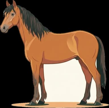 Pferdefutter Österreichisches Warmblut