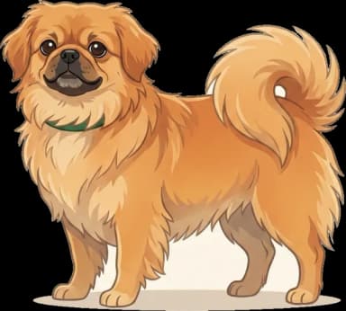 Hundefutter Pekingese: Gewichtskontrolle