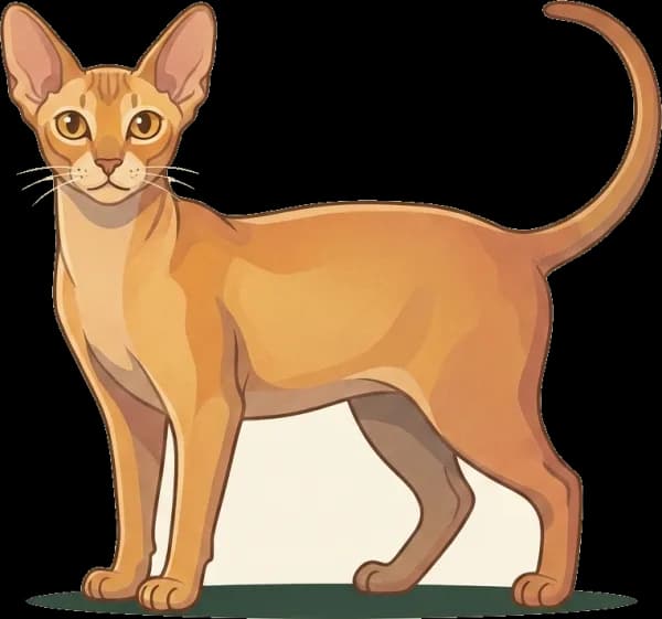 Illustration: Katzenfutter für Peterbald: Energiereich
