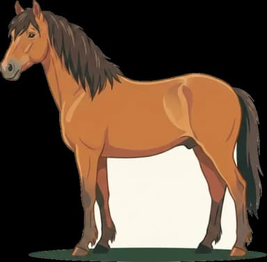 Pferdefutter Pindos-Pony: Hufrehe-Prävention