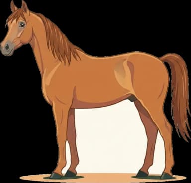 Pferdefutter Polnischer Araber: EMS