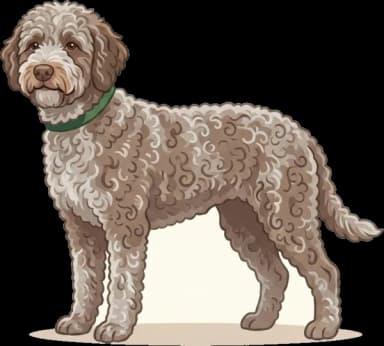 Hundefutter Lagotto Romagnolo: Arbeit