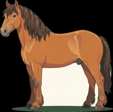 Pferdefutter Sächs.-Thür. Schweres Warmblut: Leichtfuttrig