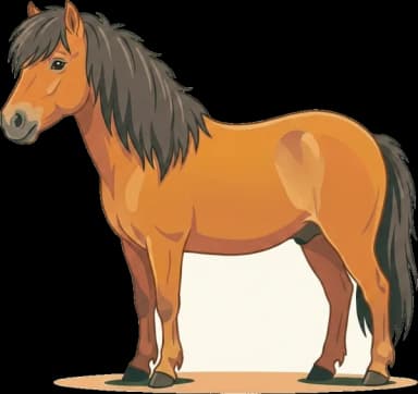 Pferdefutter Shetlandpony: EMS & Hufrehe