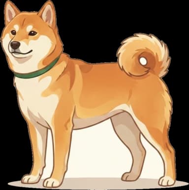 Hundefutter Shiba: Hautgesundheit · futter.de