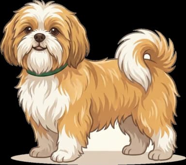 Hundefutter Shih Tzu: Fellglanz