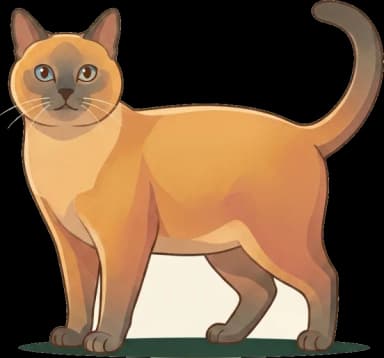 Katzenfutter für Siamkatze: Energiedicht