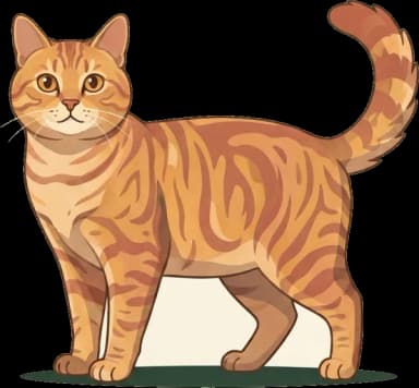 Katzenfutter Sibirische Katze: Herzschutz