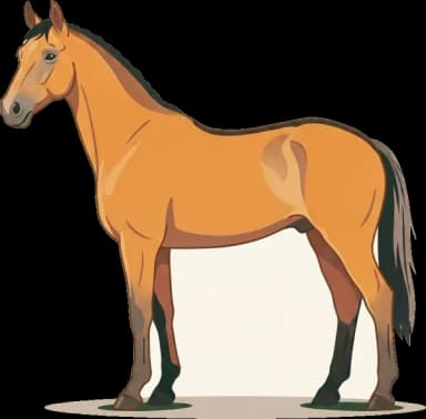 Pferdefutter Sorraia: Kalorienarm