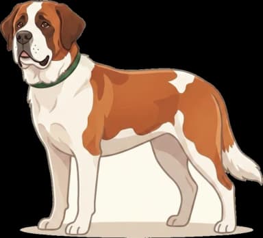Hundefutter Bernhardiner: Gelenkschutz