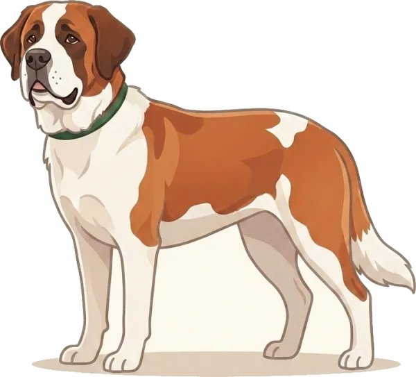 Illustration: Hundefutter Bernhardiner: Gelenkschutz