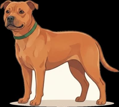 Hundefutter Staffordshire Bullterrier: Muskel