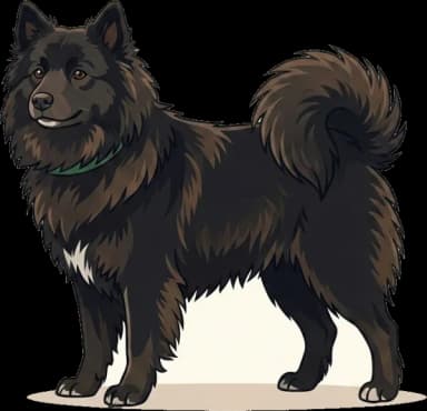 Hundefutter Schwedischer Lapphund
