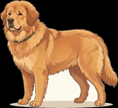 Hundefutter für Do Khyi: Wachstum