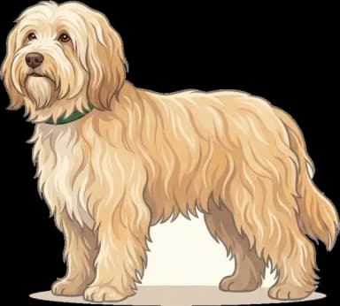 Hundefutter Tibet-Terrier: Langlebigkeit