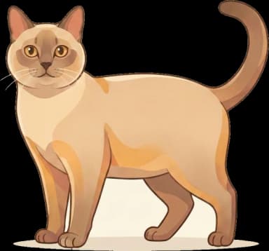 Katzenfutter Tonkinese: Diabetes-Prävention