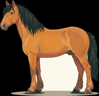 Pferdefutter Welsh-Cob