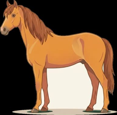 Pferdefutter Welsh-Pony: Hufrehe-Management