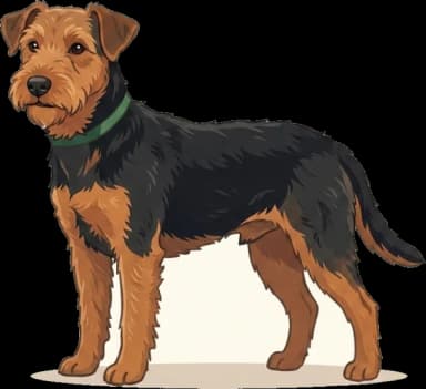 Hundefutter Welsh Terrier: Energie · futter.de