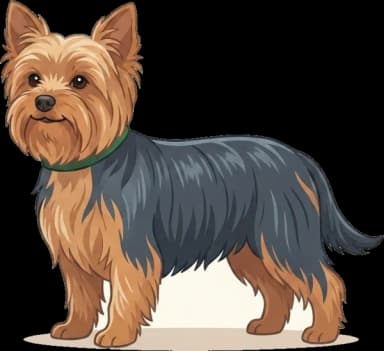Hundefutter Yorkshire Terrier · futter.de