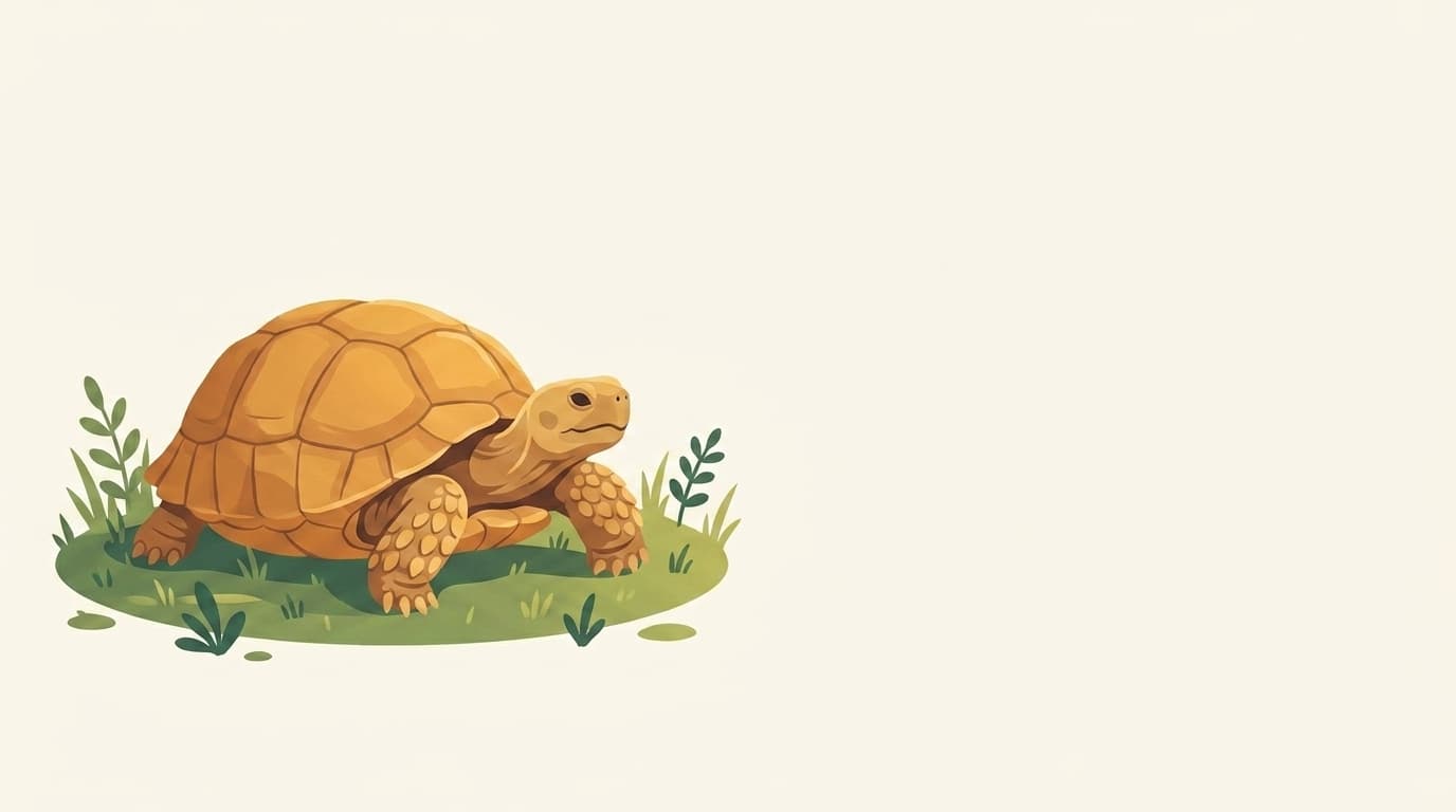 Symbolische Illustration: eine gesunde Landschildkröte ruht ruhig in sanftem Tageslicht. Keine fachliche Aussage.